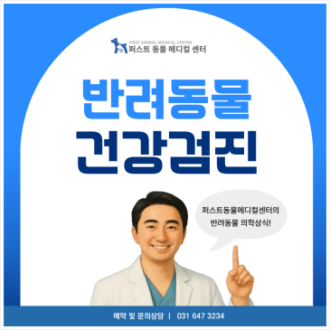 강아지·고양이 건강검진, 무엇을 준비하면 좋을까요? 병원 블로그 표지